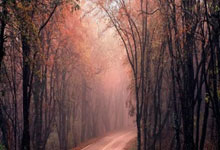 包含Scout重返赛场，刷新纪录首场状态出色，IG观众沸腾！比赛高潮迭起的词条